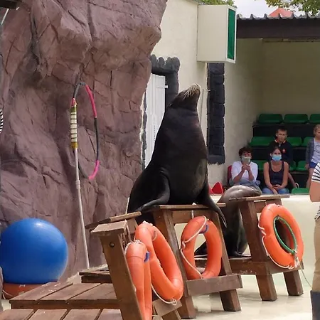 ゲストハウス Robert *