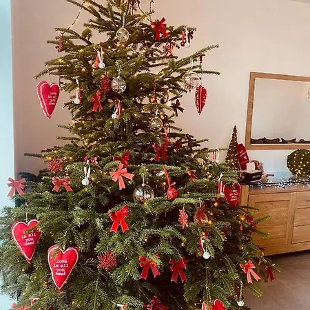 Πανσιόν Robert