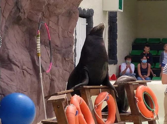 Πανσιόν Robert *