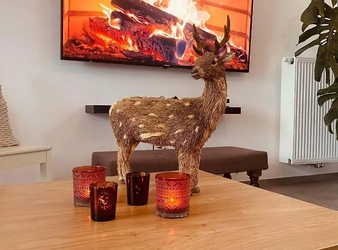 Πανσιόν Robert *