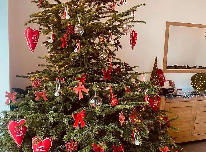 Πανσιόν Robert